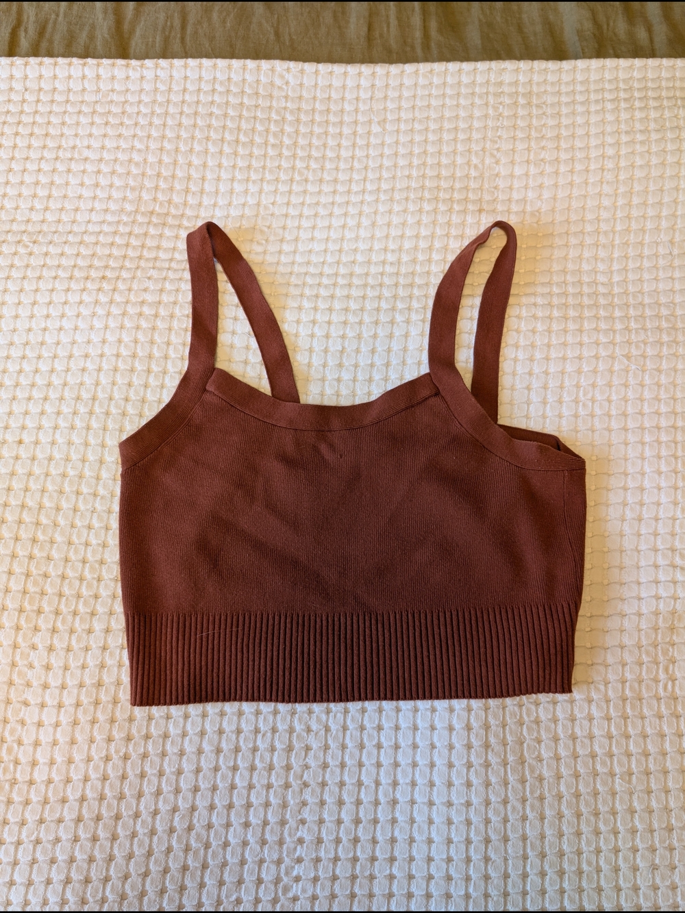 Everlane Ribbed Cropped Tank Top in Deep Brown Size XL